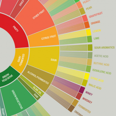 Acidità: il valore nascosto di un caffè di qualità