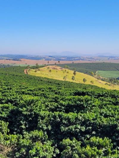 Viaggio alla Fazenda Monte Alegre: un’esperienza unica nel cuore del Minas Gerais