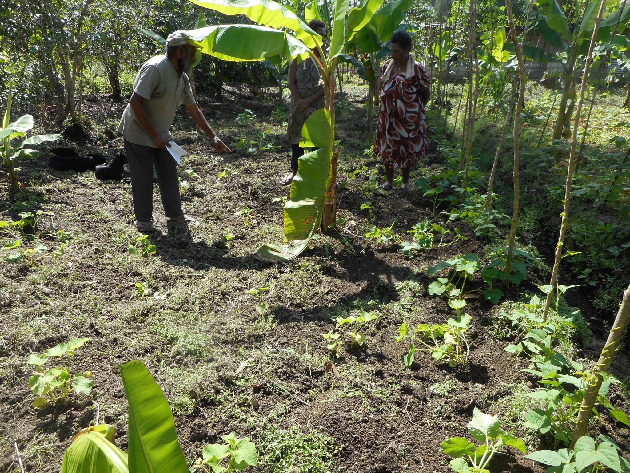  I nostri giorni in piantagione, in una regione remota della Papua Nuova Guinea
