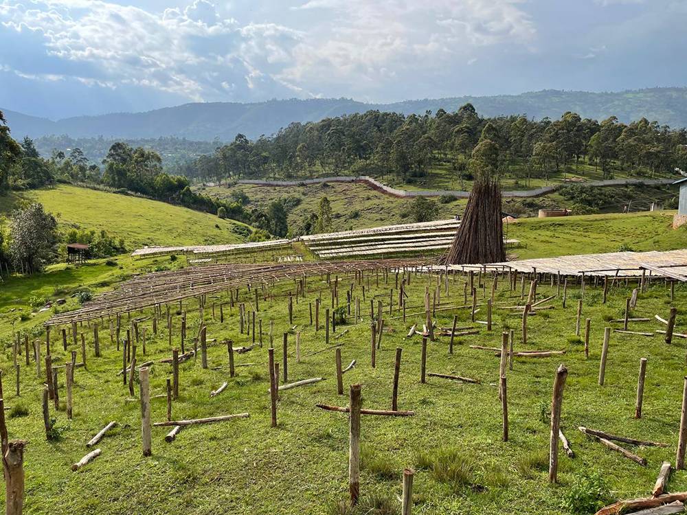 Varietà di Terroir