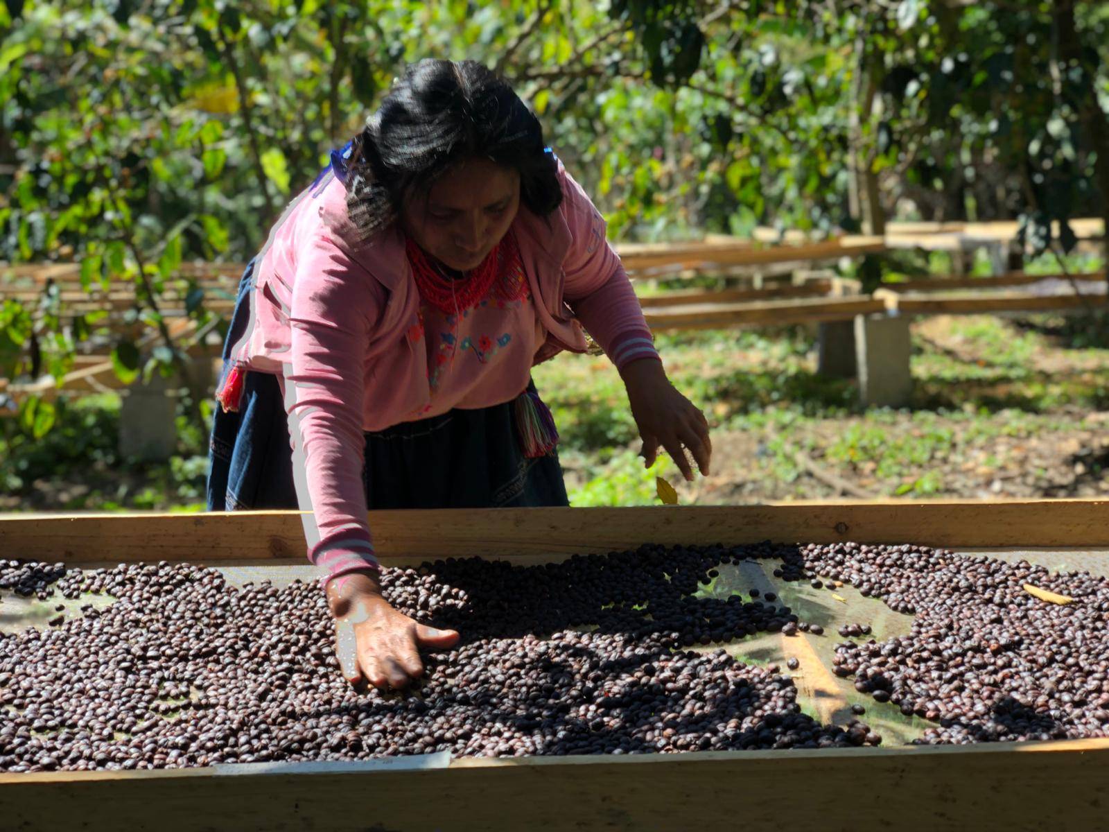Micro produttori in terra Maya